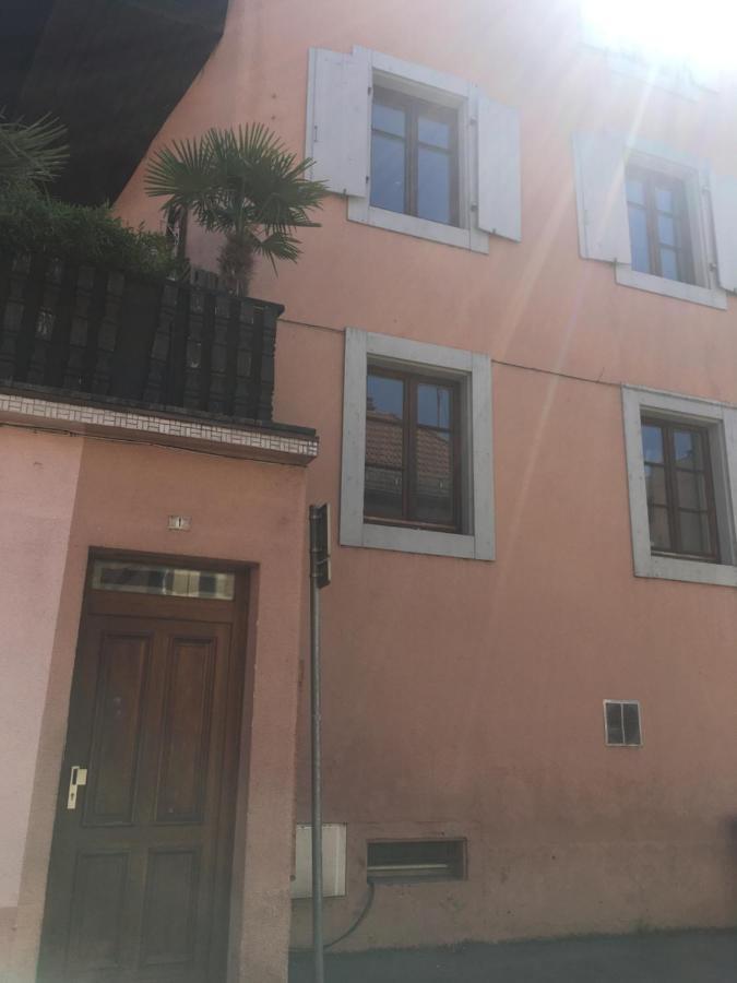 Le Gite 7 - Les Chateaux D'Ottrott Selestat Bagian luar foto